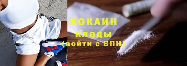 шишки Бронницы