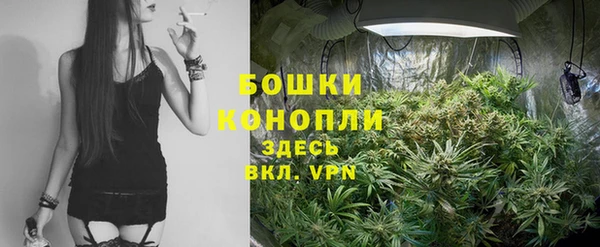 шишки Бронницы