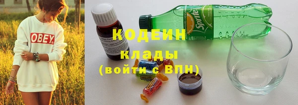 шишки Бронницы