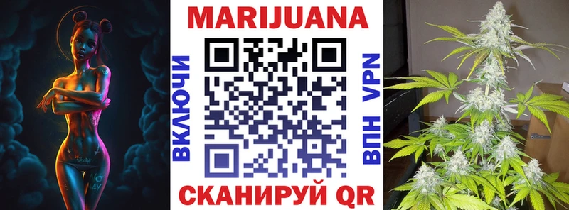 hydra ссылки  Новохопёрск  Канабис сатива  наркошоп 